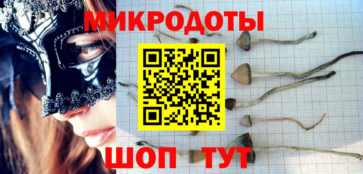 Королёв  Галлюциногенные грибы Magic Shrooms  Вход с VPN 